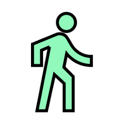 Icon256